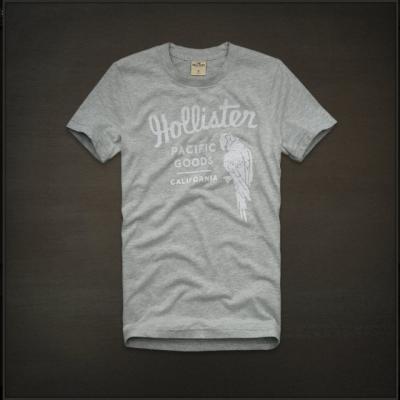 Hollister Men Shirts-414